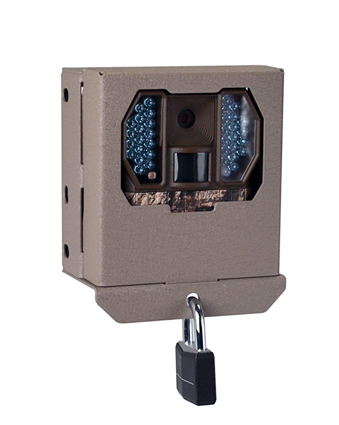 Stealth Cam Security/Bear Box for RX Series, Brown
